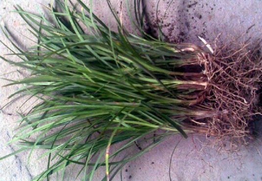 1632289496916196.jpg image.jpg