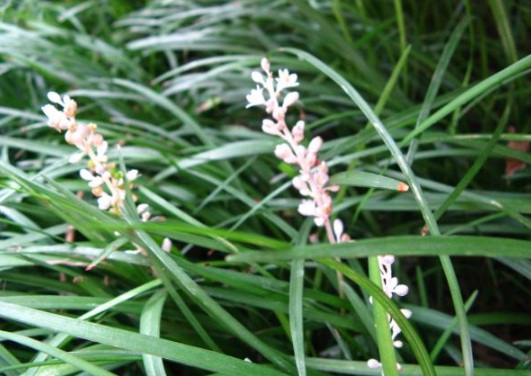 1632289504355314.jpg image.jpg