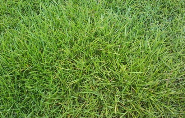 1632289912179342.jpg image.jpg