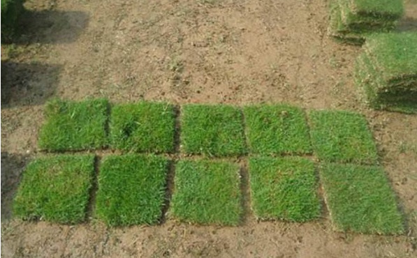 1632289923557288.jpg image.jpg