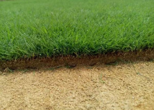 1632289994659564.jpg image.jpg