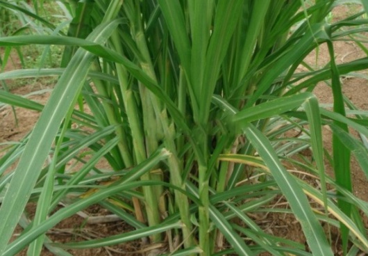 1632290268843284.jpg image.jpg