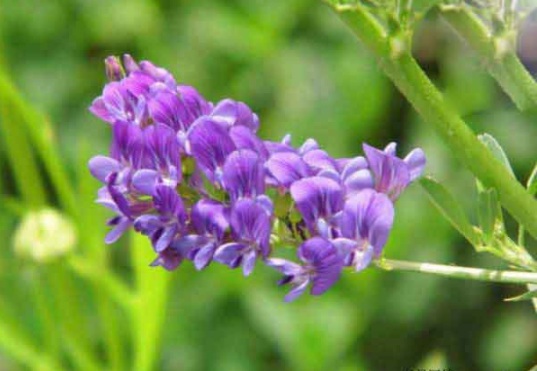 1632290333770026.jpg 1632290333770026.jpg