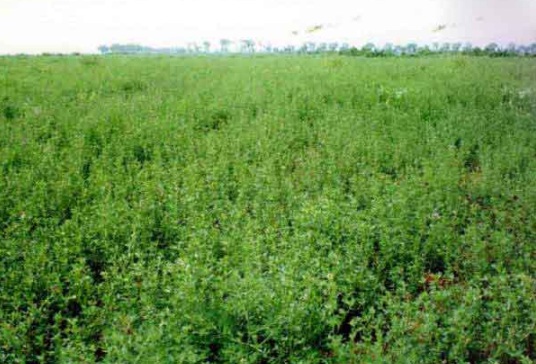 1632290350556358.jpg 1632290350556358.jpg