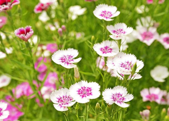 1632290696614903.jpg 1632290696614903.jpg