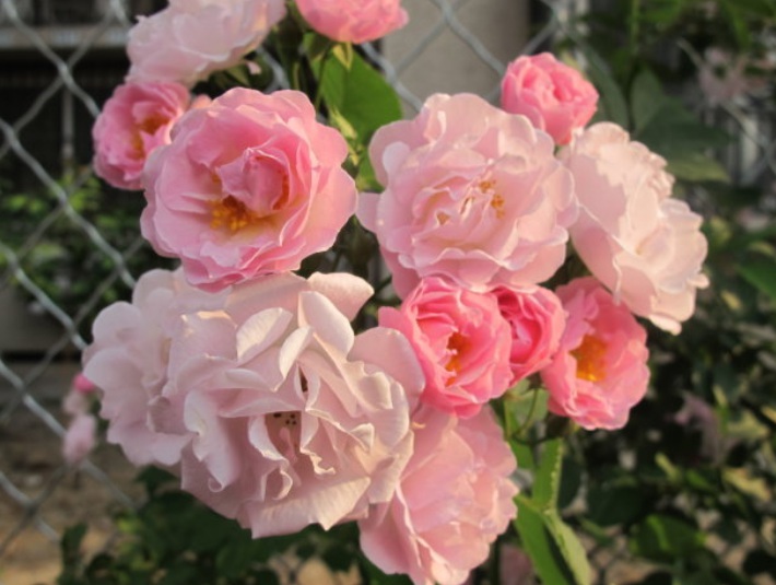 1632290848554560.jpg 1632290848554560.jpg