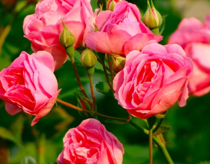 1632290891967473.jpg 1632290891967473.jpg