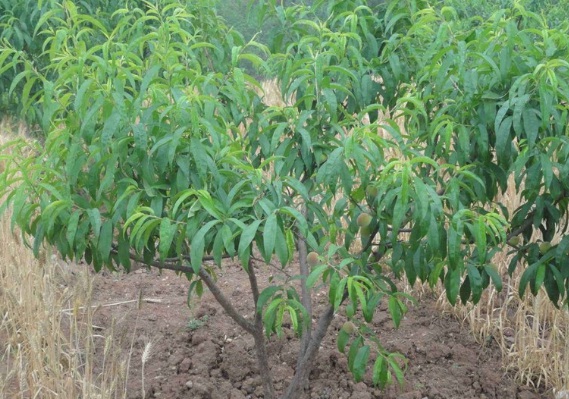 1632291181746505.jpg 1632291181746505.jpg