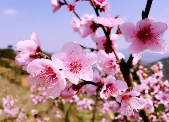 1632291189901098.jpg 1632291189901098.jpg