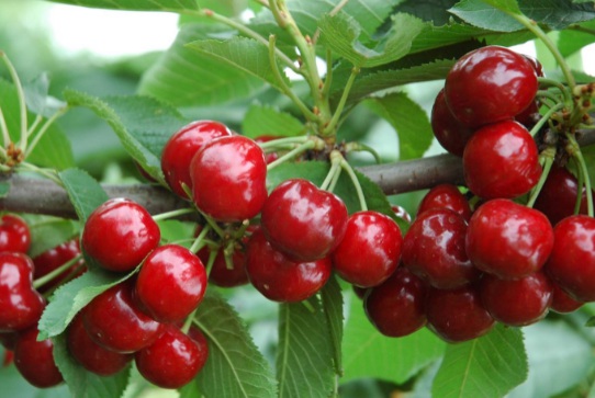 1632291395114352.jpg 1632291395114352.jpg