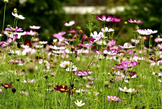 1632291567778336.jpg 1632291567778336.jpg