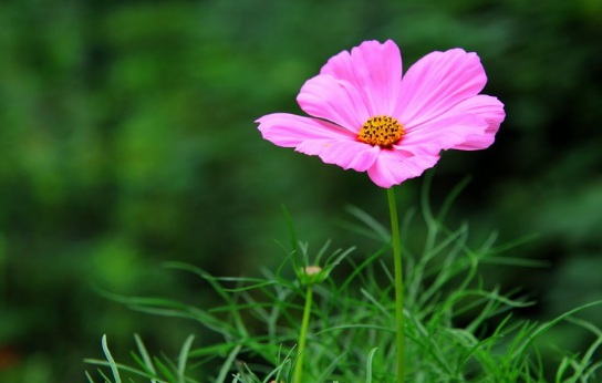 1632291577792722.jpg 1632291577792722.jpg