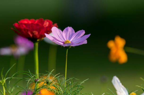 1632291585890326.jpg 1632291585890326.jpg