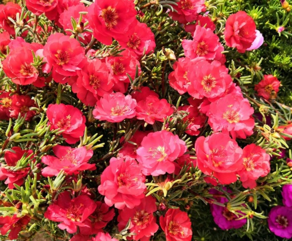 1632364751384579.jpg image.jpg