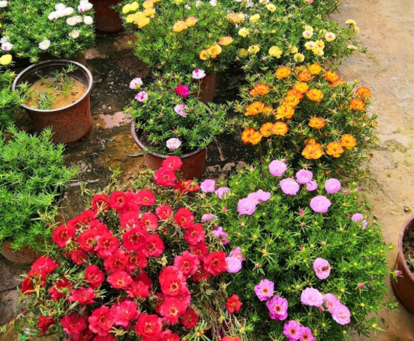 1632365788839758.jpg image.jpg