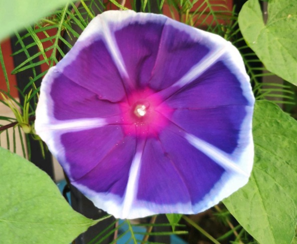 1632366614948010.jpg image.jpg