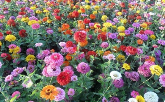 1632367160623359.jpg image.jpg