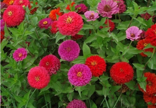 1632367171553485.jpg image.jpg