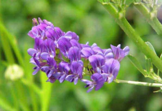 1632367553545943.jpg image.jpg