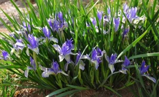 1632377476283705.jpg image.jpg