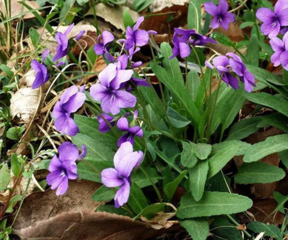 1632377556825841.jpg image.jpg