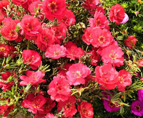 1632377889702301.jpg image.jpg