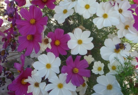 1632378234435504.jpg image.jpg