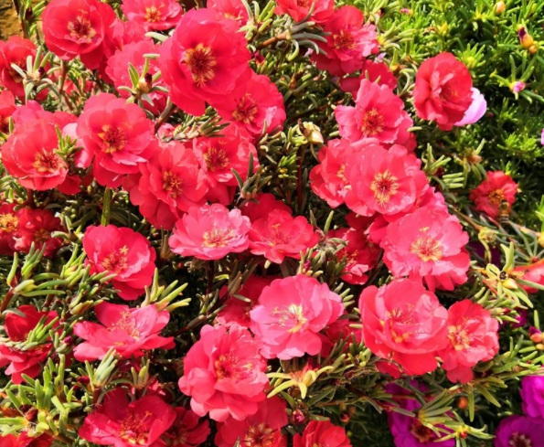 1632378608592464.jpg image.jpg