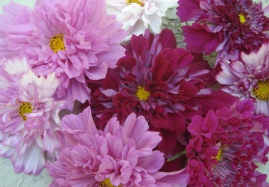 1632379204889066.jpg 1632379204889066.jpg