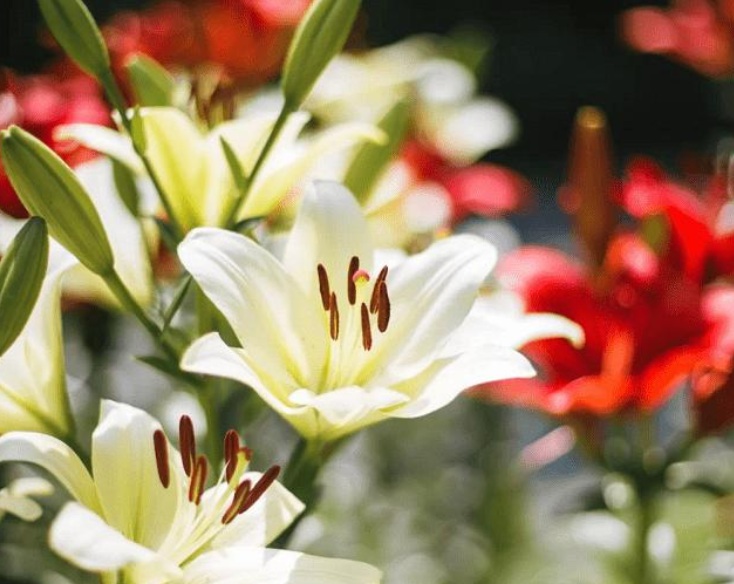 1632409368160062.jpg 1632409368160062.jpg