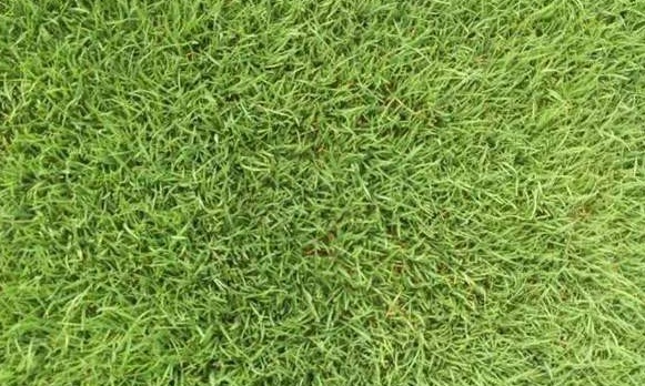 1632443215481768.jpg image.jpg