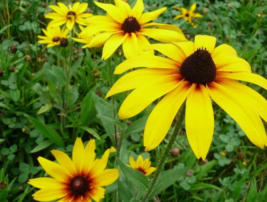 1632443493154381.jpg image.jpg