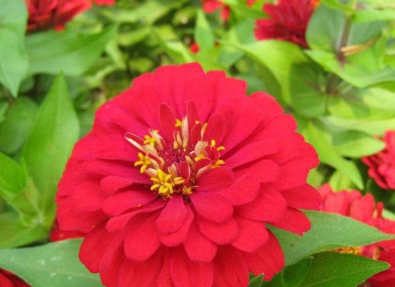 1632443512296119.jpg image.jpg