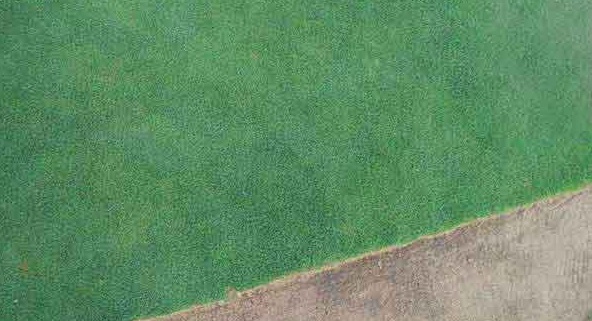 1632443720231221.jpg image.jpg