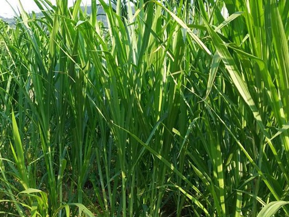 1632444361342631.jpg image.jpg