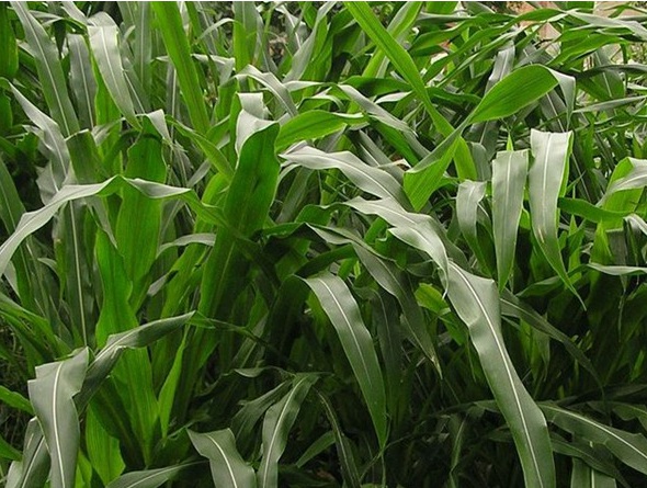 1632444371220325.jpg image.jpg