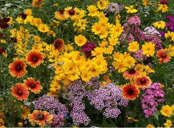 1632446809205812.jpg image.jpg