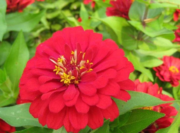 1632446822579013.jpg image.jpg