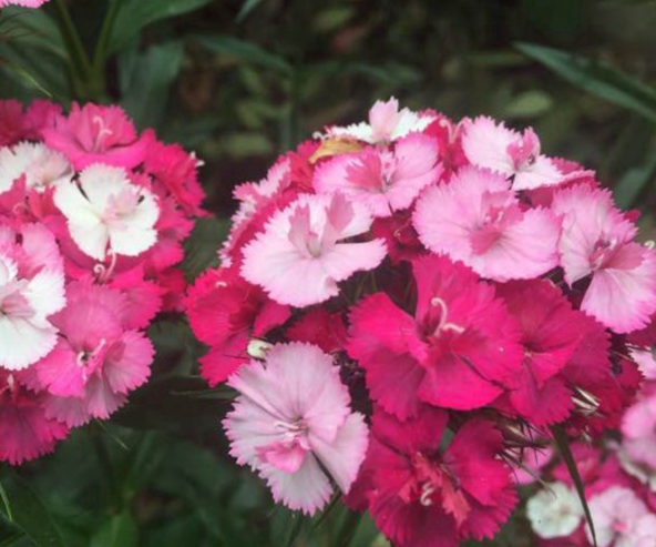 1632450177879930.jpg image.jpg