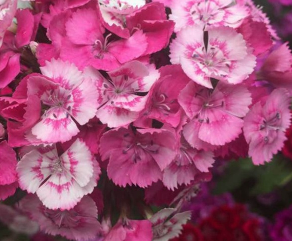 1632450195774394.jpg image.jpg