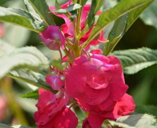 1632450624891523.jpg image.jpg