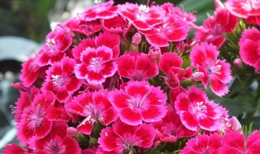 1632450976947019.jpg image.jpg