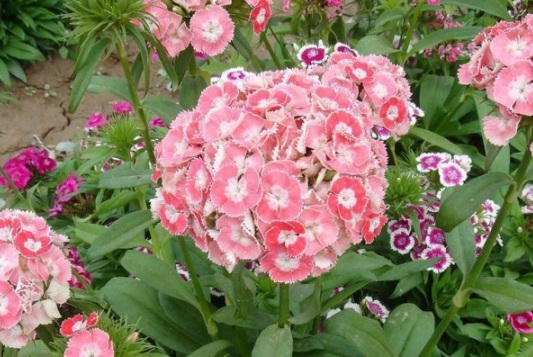 1632450988383429.jpg image.jpg