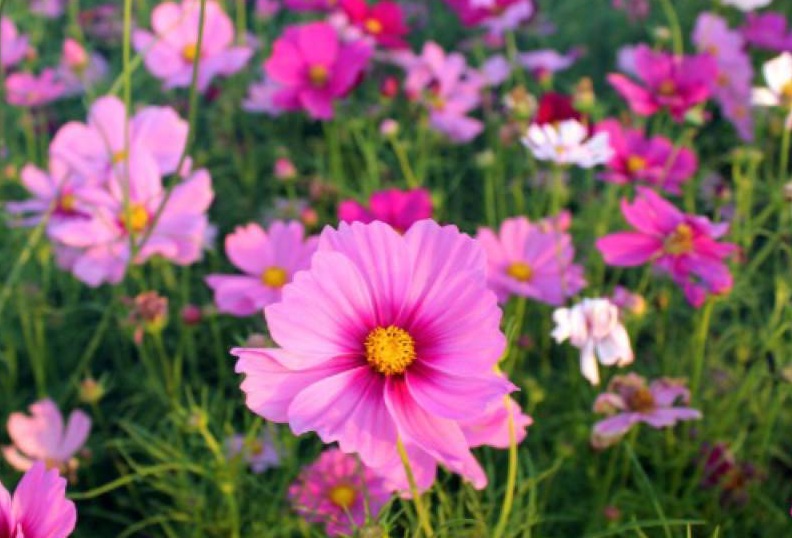 1632477706878394.jpg 1632477706878394.jpg