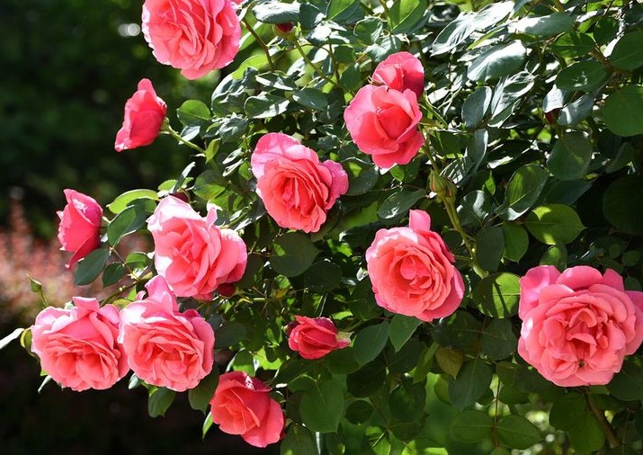 1632494044671969.jpg 1632494044671969.jpg