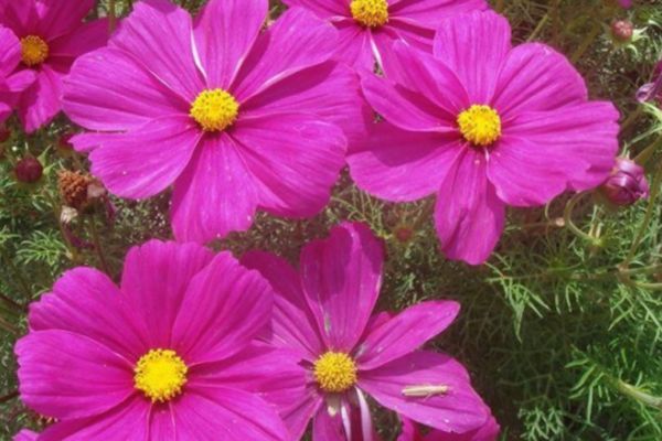 格?；?/></p><p style=