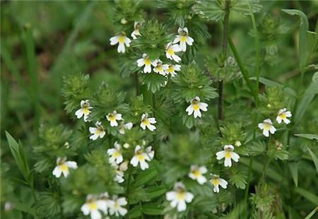 1632570954918678.jpg 1632570954918678.jpg