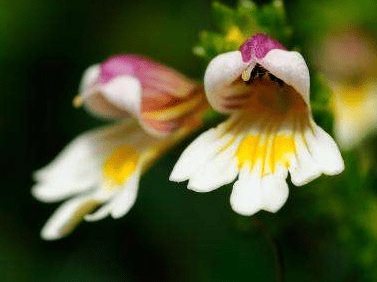 1632570970577140.jpg 1632570970577140.jpg