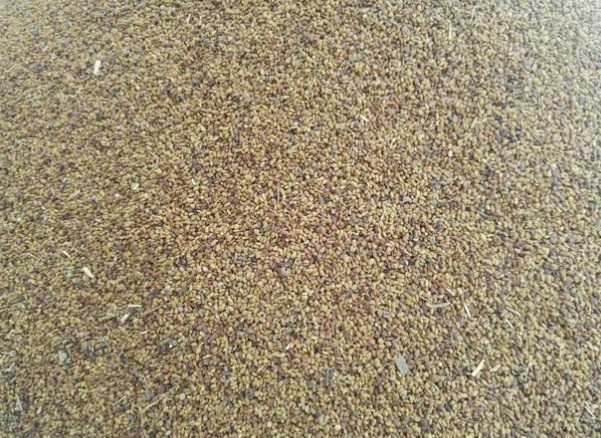 1632581338230038.jpg image.jpg