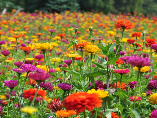 1632581604866036.jpg image.jpg